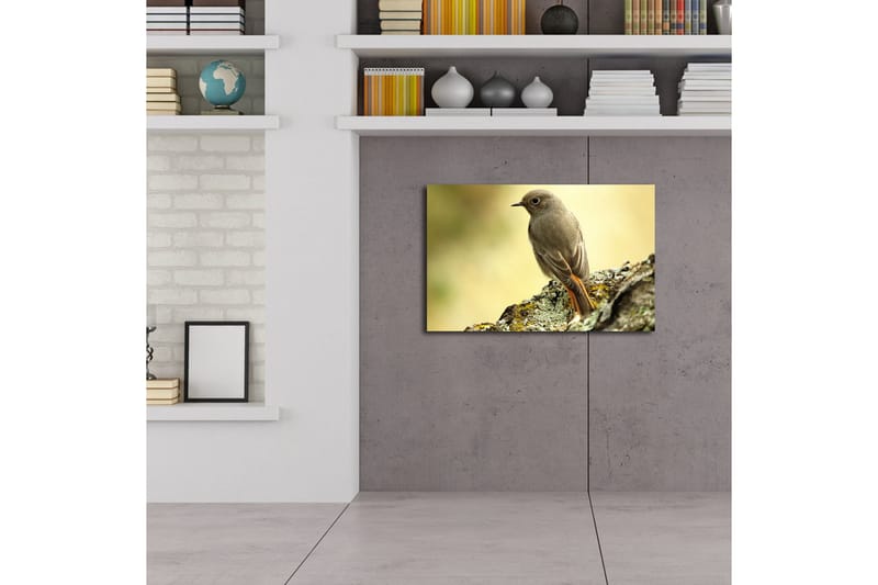 Lerretsbilde med LED-belysning 45x70 cm - Fugl sittende på en stein med myk bakgrunn - Grå / Oransje / Beige - Innredning - Bilder & kunst - Lerretsbilder