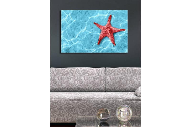 Lerretsbilde med LED-belysning 45x70 cm - Rød sjøstjerne på en klar blå vannoverflate - Rød / Klar blå - Innredning - Bilder & kunst - Lerretsbilder