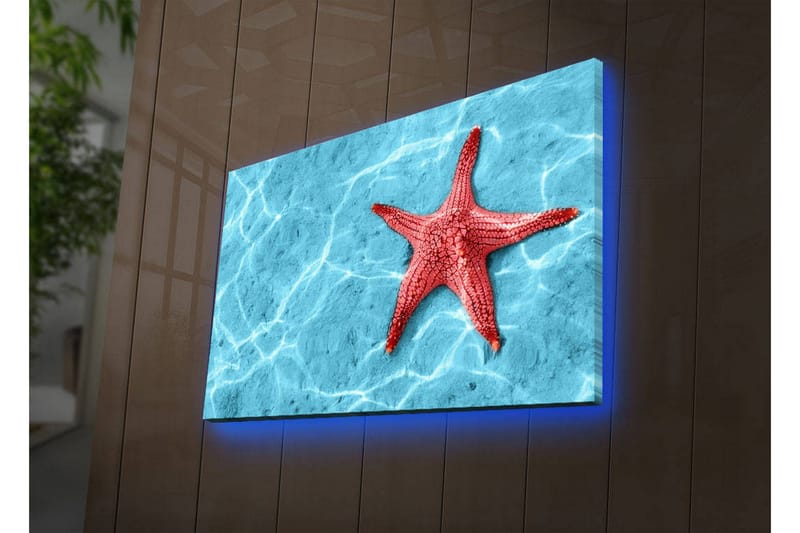 Lerretsbilde med LED-belysning 45x70 cm - Rød sjøstjerne på en klar blå vannoverflate, Rød / Klar blå