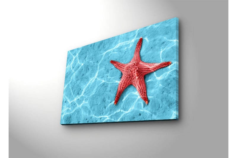 Lerretsbilde med LED-belysning 45x70 cm - Rød sjøstjerne på en klar blå vannoverflate - Rød / Klar blå - Innredning - Bilder & kunst - Lerretsbilder