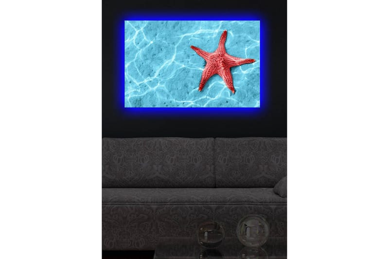 Lerretsbilde med LED-belysning 45x70 cm - Rød sjøstjerne på en klar blå vannoverflate - Rød / Klar blå - Innredning - Bilder & kunst - Lerretsbilder