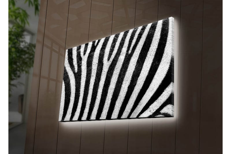 Lerretsbilde med LED-belysning 45x70 cm - Sebra med kontrasterende svarte og hvite striper - Svart / Hvit - Innredning - Bilder & kunst - Lerretsbilder
