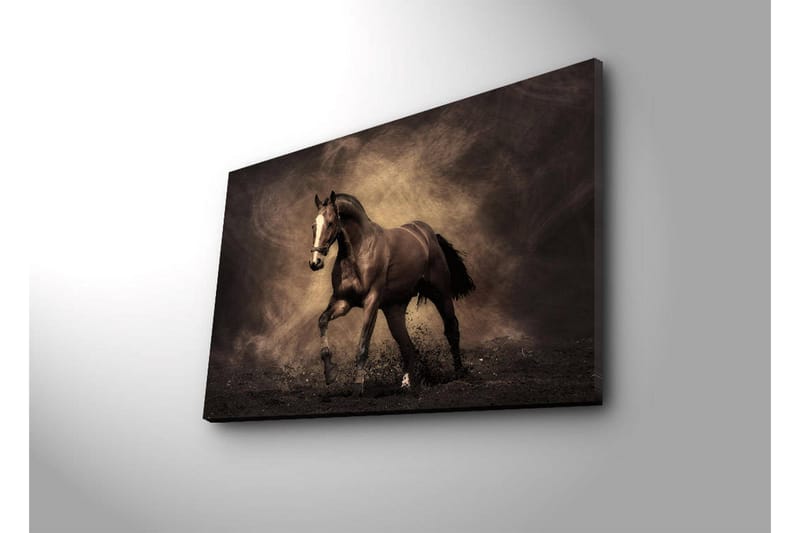 Lerretsbilde med LED-belysning 45x70 cm - Stolt hest i bevegelse - Mørk brun / Beige / Svart - Innredning - Bilder & kunst - Lerretsbilder