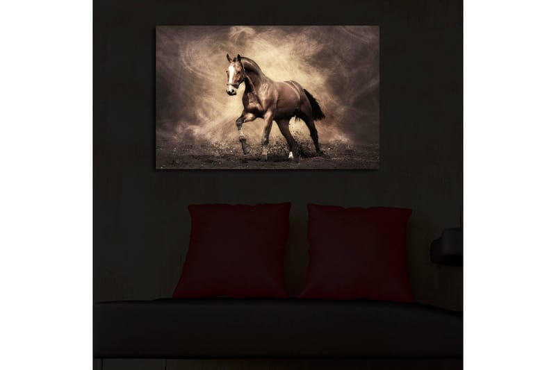 Lerretsbilde med LED-belysning 45x70 cm - Stolt hest i bevegelse - Mørk brun / Beige / Svart - Innredning - Bilder & kunst - Lerretsbilder