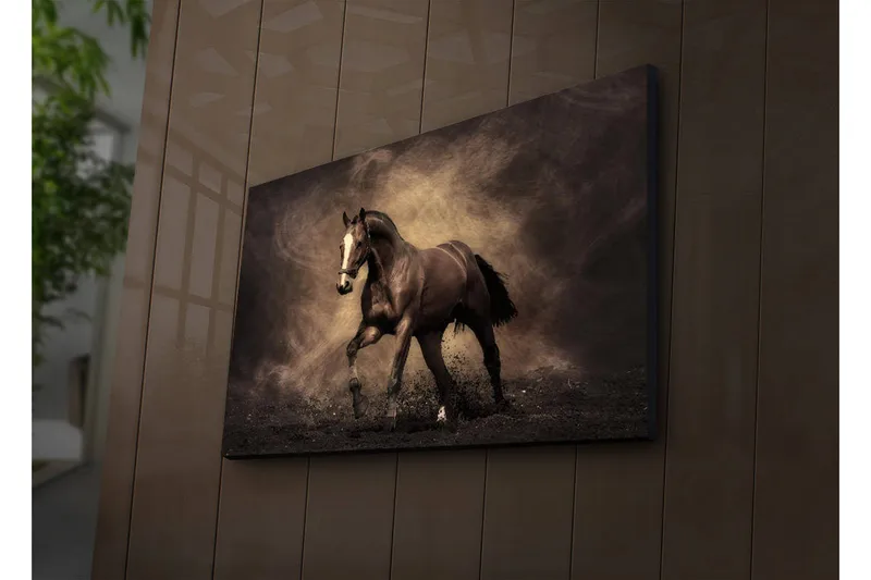 Lerretsbilde med LED-belysning 45x70 cm - Stolt hest i bevegelse, Mørk brun / Beige / Svart