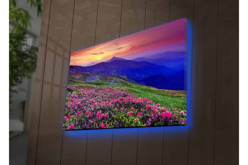 Lerretsbilde med LED-belysning - Blomstrende eng med fargerike blomster og fjell i bakgrunnen - Lilla / Rosa / Grønn - Innredning - Bilder & kunst - Lerretsbilder