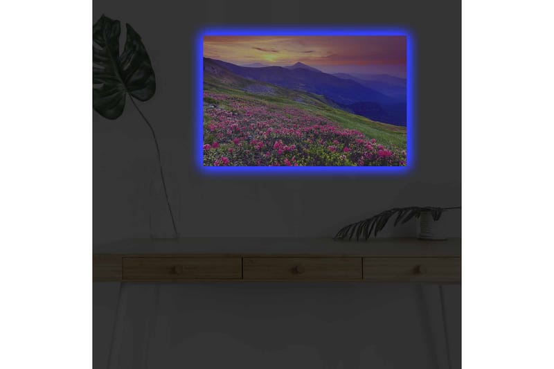 Lerretsbilde med LED-belysning - Blomstrende eng med fargerike blomster og fjell i bakgrunnen - Lilla / Rosa / Grønn - Innredning - Bilder & kunst - Lerretsbilder