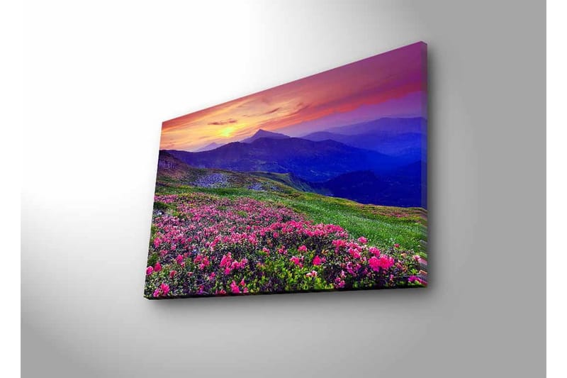 Lerretsbilde med LED-belysning - Blomstrende eng med fargerike blomster og fjell i bakgrunnen - Lilla / Rosa / Grønn - Innredning - Bilder & kunst - Lerretsbilder