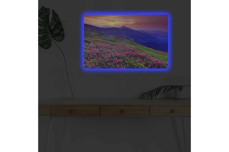 Lerretsbilde med LED-belysning - Blomstrende eng med fargerike blomster og fjell i bakgrunnen - Lilla / Rosa / Grønn - Innredning - Bilder & kunst - Lerretsbilder