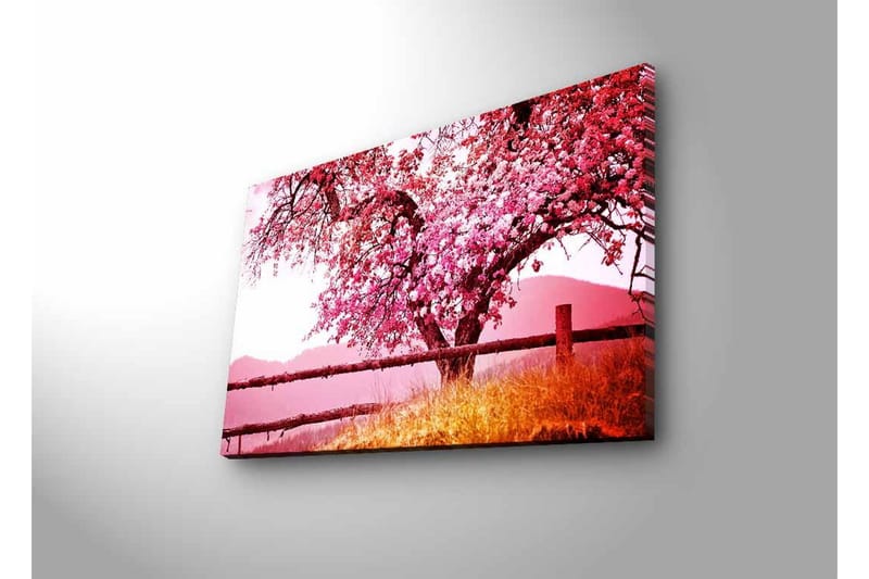 Lerretsbilde med LED-belysning - Blomstrende kirsebærtrær i et idyllisk landskap - Rosa / Grønn / Brun - Innredning - Bilder & kunst - Lerretsbilder