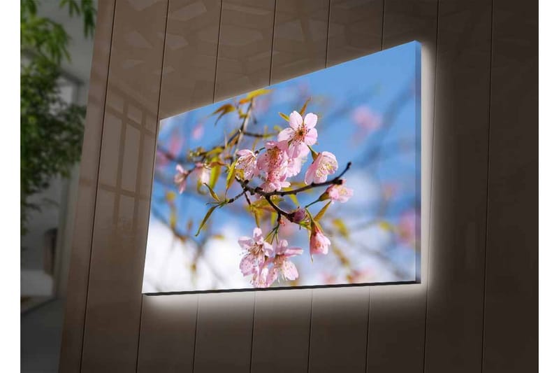 Lerretsbilde med LED-belysning - Blomstrende kirsebærtrær i vårlyset - Rosa / Grønn / Blå - Innredning - Bilder & kunst - Lerretsbilder