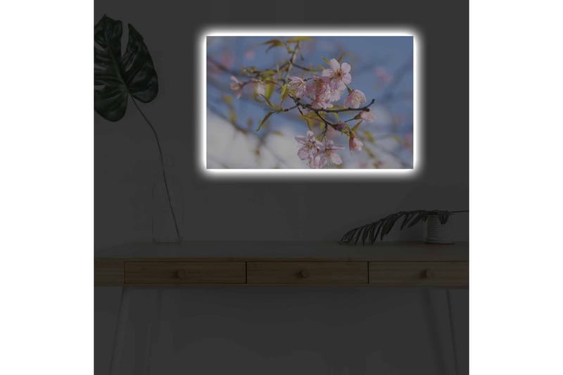 Lerretsbilde med LED-belysning - Blomstrende kirsebærtrær i vårlyset - Rosa / Grønn / Blå - Innredning - Bilder & kunst - Lerretsbilder