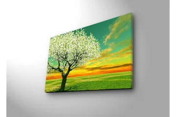 Lerretsbilde med LED-belysning - Blomstrende trær ved solnedgang - Grønn / Hvit / Oransje - Innredning - Bilder & kunst - Lerretsbilder