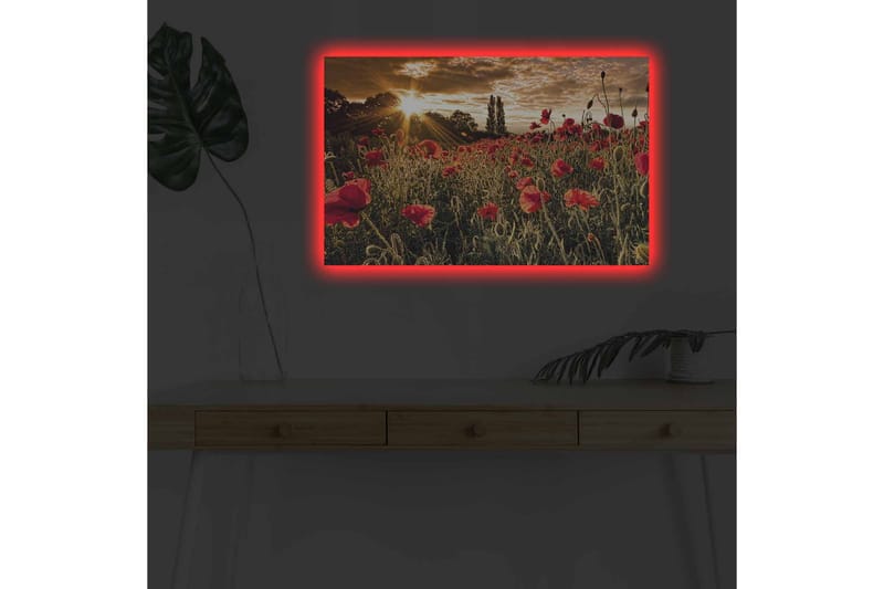 Lerretsbilde med LED-belysning - Blomstrende valmuefelt i solnedgangens lys - Rød / Grønn / Gul - Innredning - Bilder & kunst - Lerretsbilder