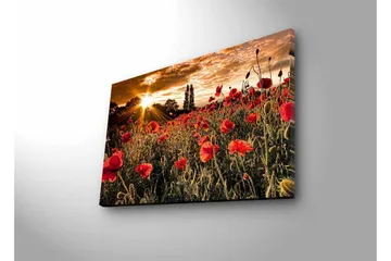 Lerretsbilde med LED-belysning - Blomstrende valmuefelt i solnedgangens lys - Rød / Grønn / Gul - Innredning - Bilder & kunst - Lerretsbilder