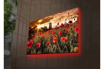 Lerretsbilde med LED-belysning - Blomstrende valmuefelt i solnedgangens lys - Rød / Grønn / Gul - Innredning - Bilder & kunst - Lerretsbilder