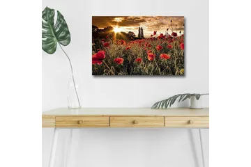 Lerretsbilde med LED-belysning - Blomstrende valmuefelt i solnedgangens lys - Rød / Grønn / Gul - Innredning - Bilder & kunst - Lerretsbilder