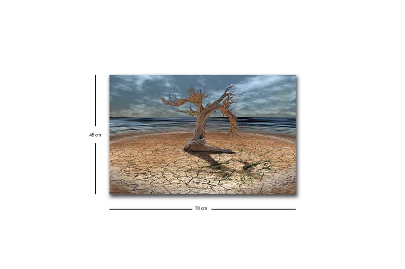 Lerretsbilde med LED-belysning - Dødt tre på en sprukket jordoverflate ved havet - Brun / Grå / Blå - Innredning - Bilder & kunst - Lerretsbilder