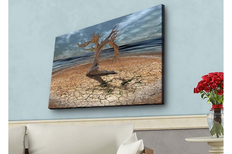 Lerretsbilde med LED-belysning - Dødt tre på en sprukket jordoverflate ved havet, Brun / Grå / Blå
