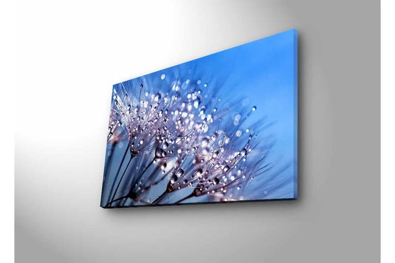 Lerretsbilde med LED-belysning - Delikat blomsterkomposisjon med vanndråper - Blå / Hvit / Lilla - Innredning - Bilder & kunst - Lerretsbilder
