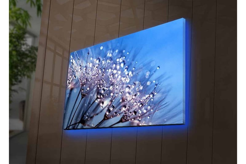 Lerretsbilde med LED-belysning - Delikat blomsterkomposisjon med vanndråper - Blå / Hvit / Lilla - Innredning - Bilder & kunst - Lerretsbilder