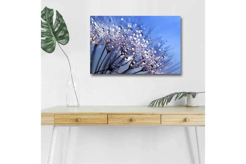 Lerretsbilde med LED-belysning - Delikat blomsterkomposisjon med vanndråper, Blå / Hvit / Lilla