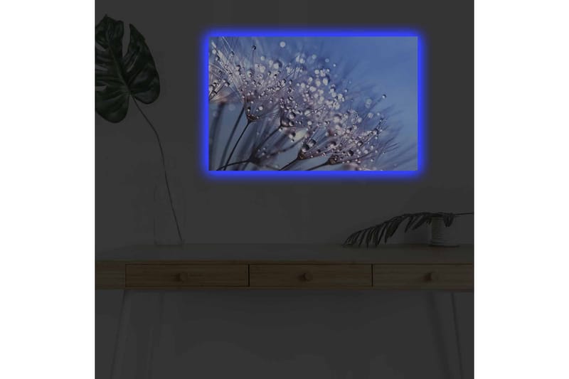 Lerretsbilde med LED-belysning - Delikat blomsterkomposisjon med vanndråper - Blå / Hvit / Lilla - Innredning - Bilder & kunst - Lerretsbilder