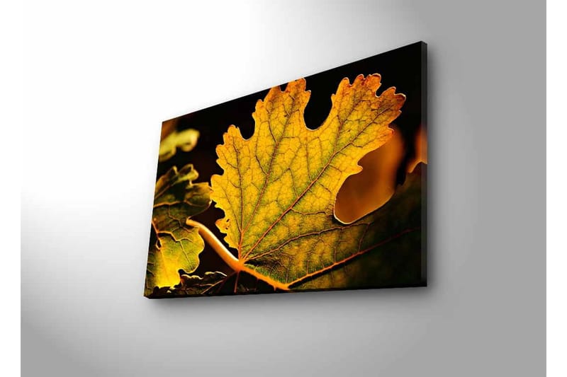 Lerretsbilde med LED-belysning - Detaljert komposisjon av grønne og gylne blader - Grønn / Gyllen - Innredning - Bilder & kunst - Lerretsbilder