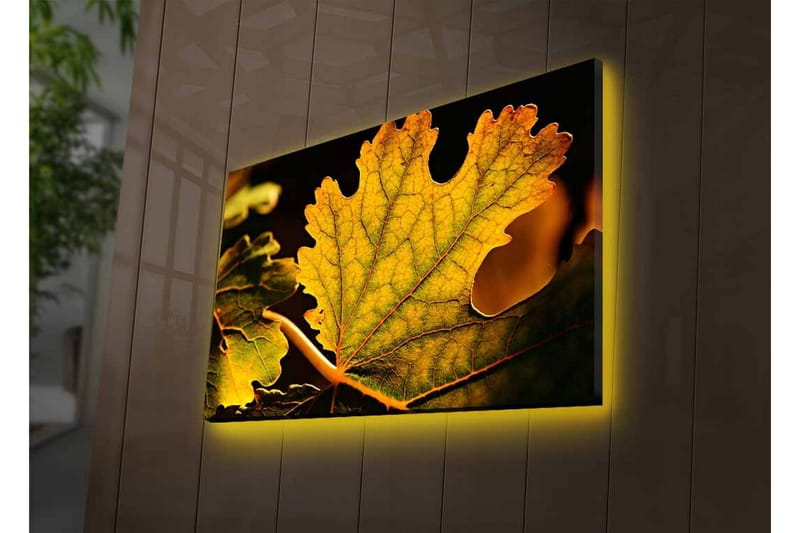 Lerretsbilde med LED-belysning - Detaljert komposisjon av grønne og gylne blader - Grønn / Gyllen - Innredning - Bilder & kunst - Lerretsbilder