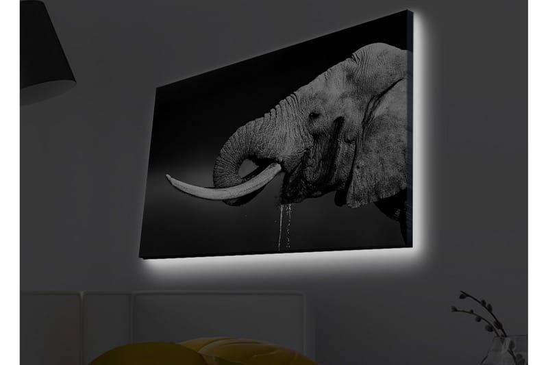 Lerretsbilde med LED-belysning - Elefant i svart-hvitt med detaljert tekstur - Svart / Hvit / Grå - Innredning - Bilder & kunst - Lerretsbilder