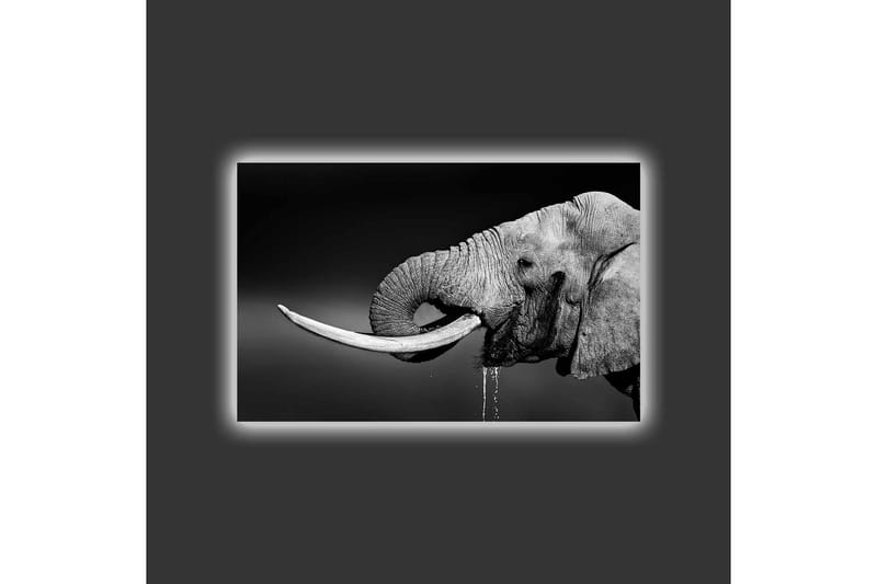 Lerretsbilde med LED-belysning - Elefant i svart-hvitt med detaljert tekstur - Svart / Hvit / Grå - Innredning - Bilder & kunst - Lerretsbilder