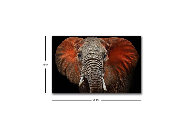 Lerretsbilde med LED-belysning - Elefant med majestetiske ører i dempede farger - Grå / Rød / Svart - Innredning - Bilder & kunst - Lerretsbilder