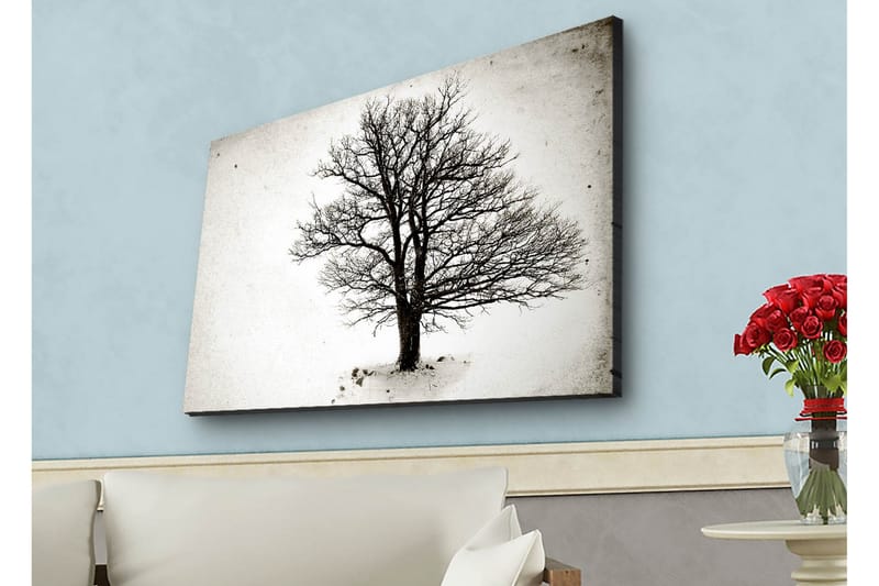 Lerretsbilde med LED-belysning - Ensom, bar trekrone mot hvit bakgrunn - Svart / Hvit - Innredning - Bilder & kunst - Lerretsbilder