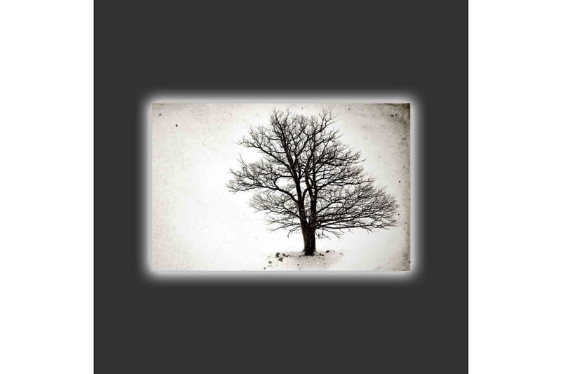Lerretsbilde med LED-belysning - Ensom, bar trekrone mot hvit bakgrunn - Svart / Hvit - Innredning - Bilder & kunst - Lerretsbilder