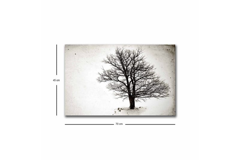 Lerretsbilde med LED-belysning - Ensom, bar trekrone mot hvit bakgrunn - Svart / Hvit - Innredning - Bilder & kunst - Lerretsbilder