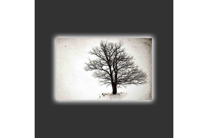 Lerretsbilde med LED-belysning - Ensom, bar trekrone mot hvit bakgrunn - Svart / Hvit - Innredning - Bilder & kunst - Lerretsbilder