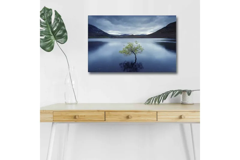 Lerretsbilde med LED-belysning - Ensom tretopp speilet i stille vann, Mørk blå / Grønn / Grå