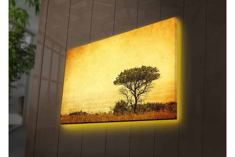 Lerretsbilde med LED-belysning - Ensomt tresilhuett mot en gyllen himmel - Gull / Brun / Svart - Innredning - Bilder & kunst - Lerretsbilder