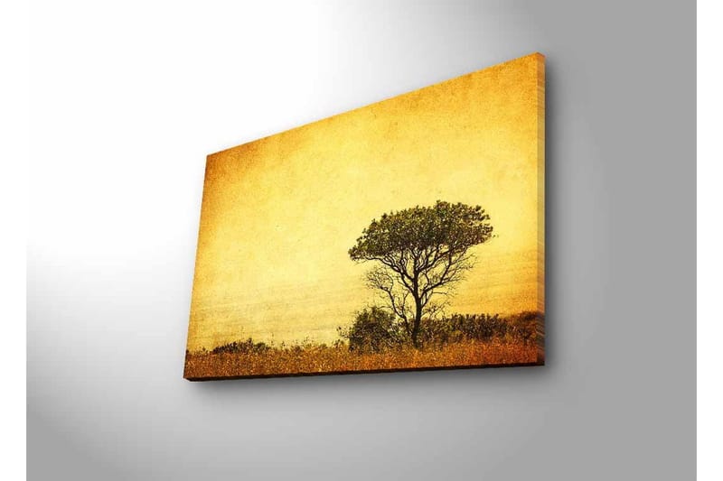 Lerretsbilde med LED-belysning - Ensomt tresilhuett mot en gyllen himmel - Gull / Brun / Svart - Innredning - Bilder & kunst - Lerretsbilder