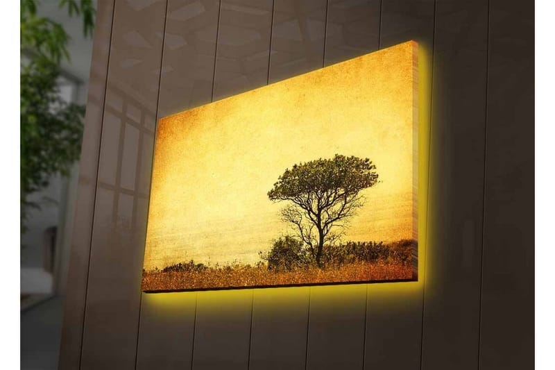 Lerretsbilde med LED-belysning - Ensomt tresilhuett mot en gyllen himmel - Gull / Brun / Svart - Innredning - Bilder & kunst - Lerretsbilder