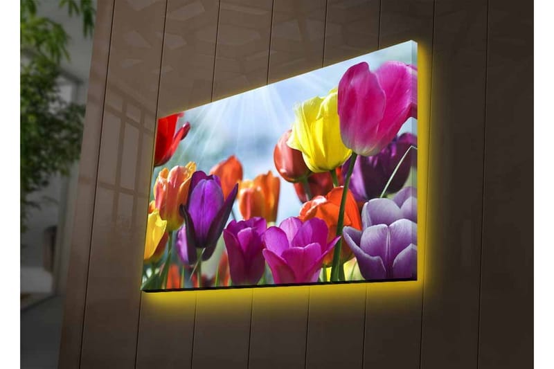 Lerretsbilde med LED-belysning - Fargerik bukett med tulipaner - Lilla / Rød / Gul - Innredning - Bilder & kunst - Lerretsbilder