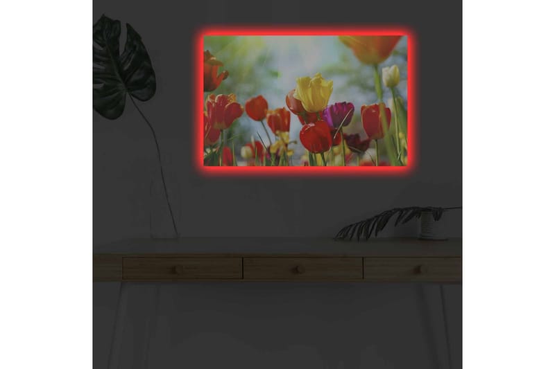 Lerretsbilde med LED-belysning - Fargerik bukett med tulipaner - Rød / Gul / Lilla - Innredning - Bilder & kunst - Lerretsbilder