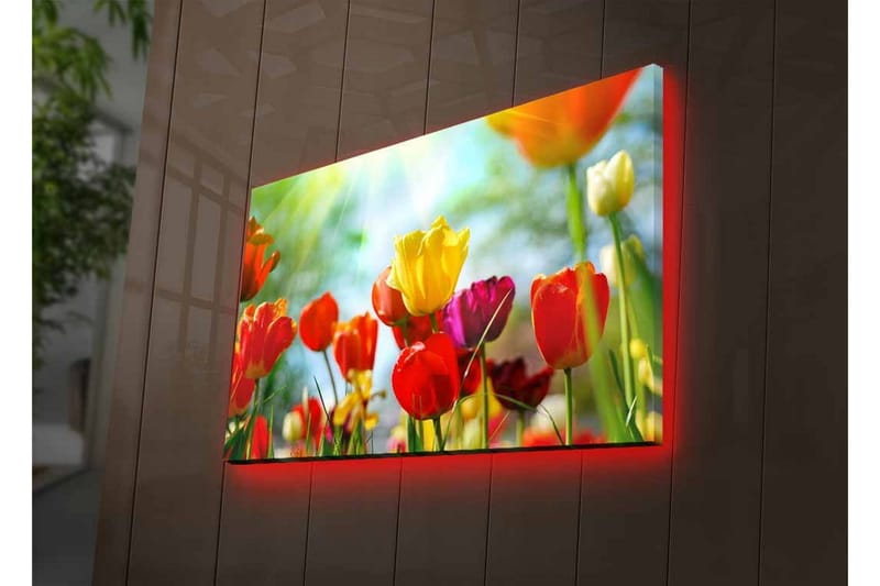 Lerretsbilde med LED-belysning - Fargerik bukett med tulipaner - Rød / Gul / Lilla - Innredning - Bilder & kunst - Lerretsbilder