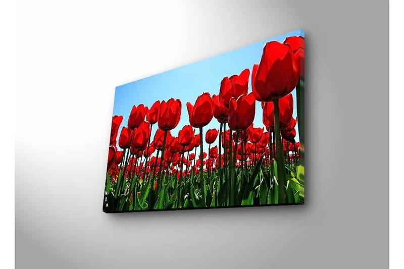 Lerretsbilde med LED-belysning - Fargerik tulipanåker i full blomst - Rød / Grønn - Innredning - Bilder & kunst - Lerretsbilder
