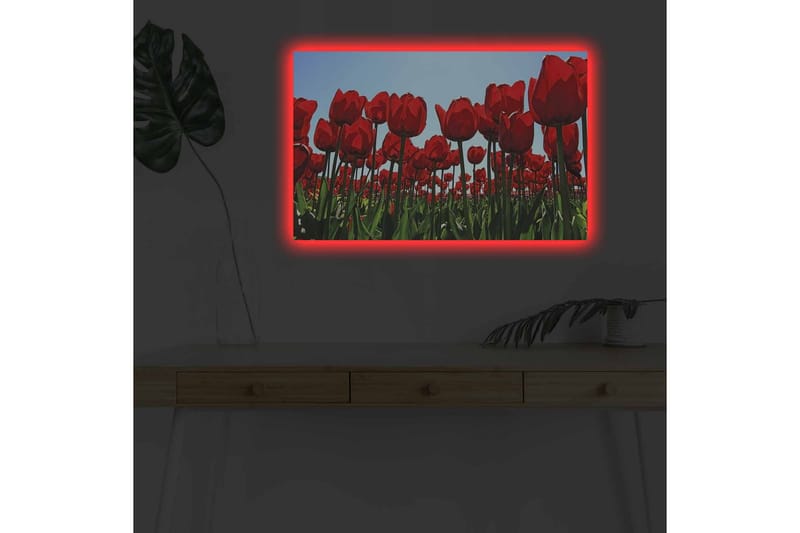 Lerretsbilde med LED-belysning - Fargerik tulipanåker i full blomst - Rød / Grønn - Innredning - Bilder & kunst - Lerretsbilder