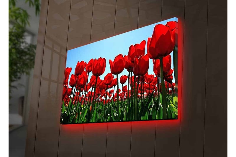 Lerretsbilde med LED-belysning - Fargerik tulipanåker i full blomst - Rød / Grønn - Innredning - Bilder & kunst - Lerretsbilder