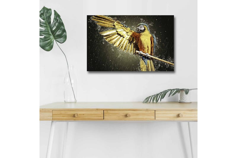 Lerretsbilde med LED-belysning - Fargerik papegøye med utstrakte vinger, Gull / Blå / Grønn