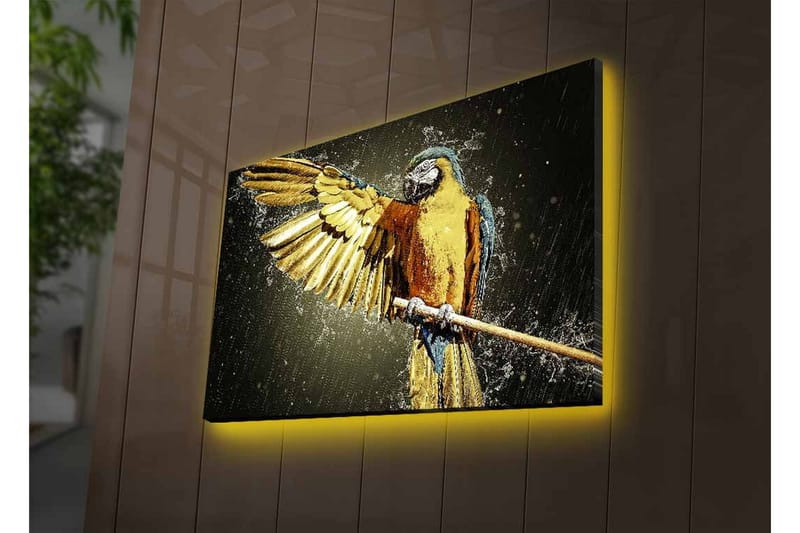 Lerretsbilde med LED-belysning - Fargerik papegøye med utstrakte vinger - Gull / Blå / Grønn - Innredning - Bilder & kunst - Lerretsbilder