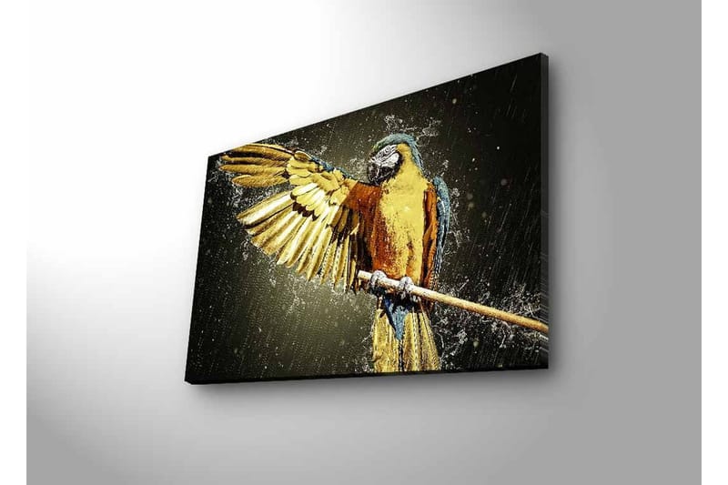 Lerretsbilde med LED-belysning - Fargerik papegøye med utstrakte vinger - Gull / Blå / Grønn - Innredning - Bilder & kunst - Lerretsbilder