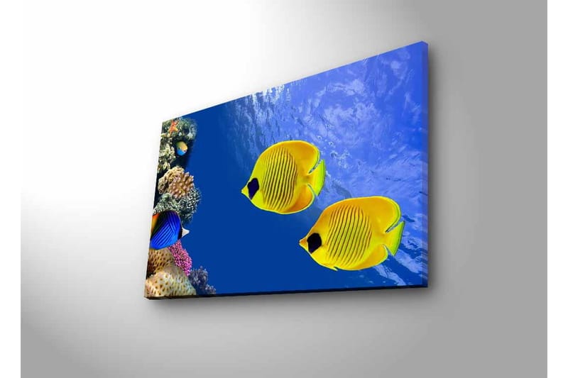 Lerretsbilde med LED-belysning - Fargerike tropiske fisker som svømmer i et korallrev - Blå / Gul / Lilla - Innredning - Bilder & kunst - Lerretsbilder